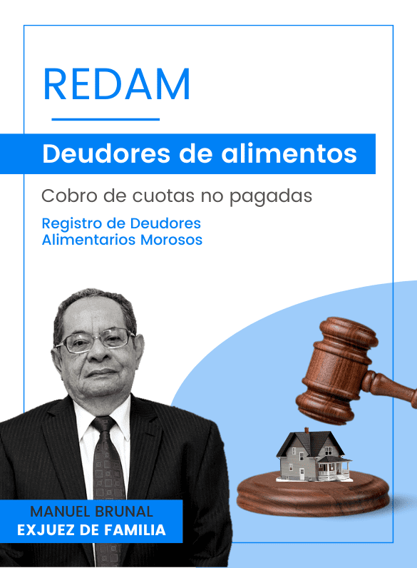 Registro De Deudores Alimentarios Morosos REDAM Certificado